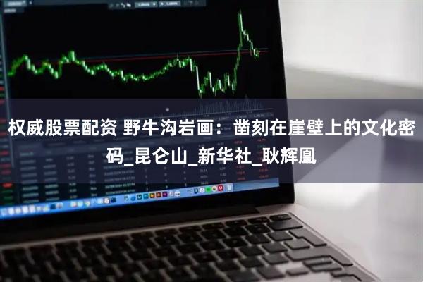 权威股票配资 野牛沟岩画：凿刻在崖壁上的文化密码_昆仑山_新华社_耿辉凰