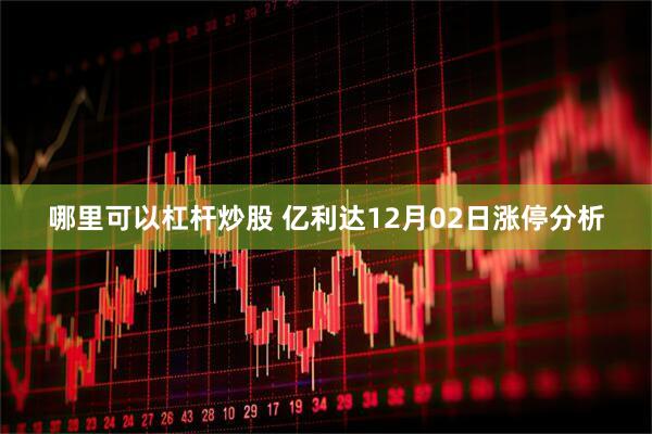 哪里可以杠杆炒股 亿利达12月02日涨停分析