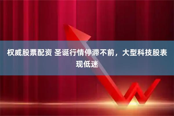 权威股票配资 圣诞行情停滞不前，大型科技股表现低迷