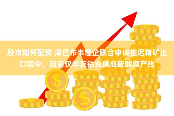 股市如何配资 津巴布韦锂企联合申请推迟精矿出口禁令，目前仅华友钴业建成硫酸锂产线